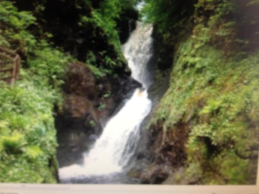 Garron View Bed & Breakfast Cushendall Eksteriør bilde